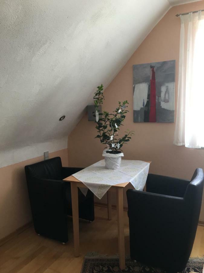 Sonnenappartment In Homburger Solarhaus 洪堡 外观 照片