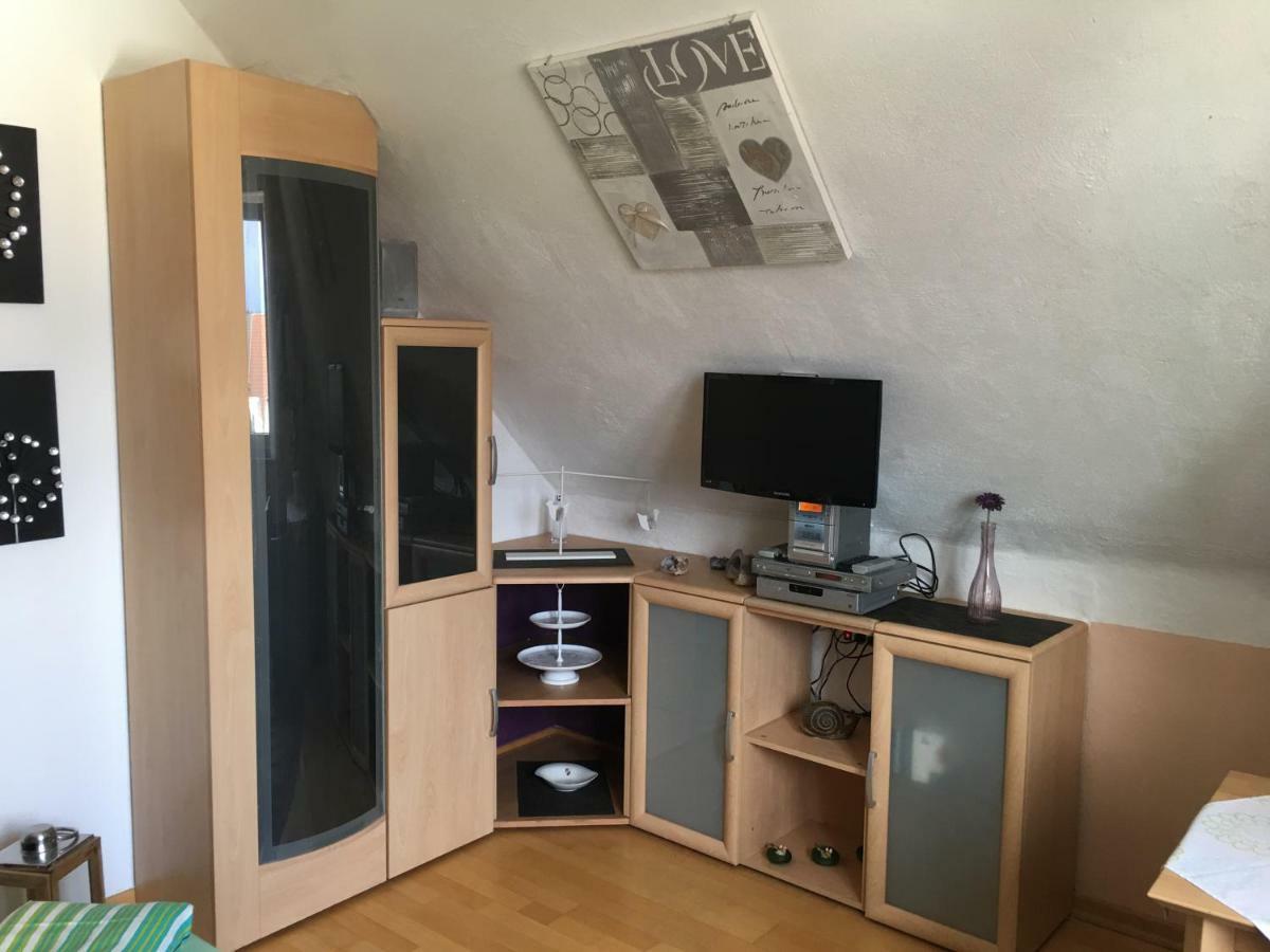 Sonnenappartment In Homburger Solarhaus 洪堡 外观 照片