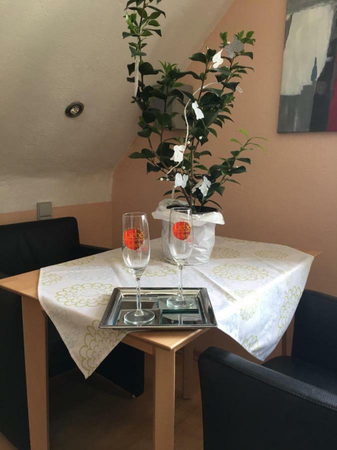 Sonnenappartment In Homburger Solarhaus 洪堡 外观 照片