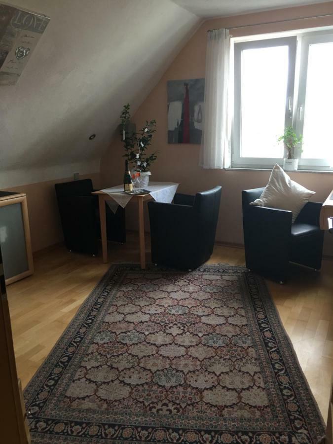 Sonnenappartment In Homburger Solarhaus 洪堡 外观 照片
